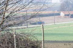 Eerste ploegtraining 2021 Staden