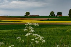Ploegtraining Vlaamse Ardennen